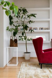 Foto van een woning of interieur